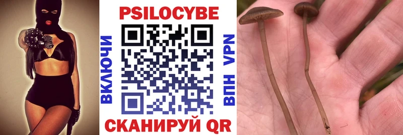 ссылка на мегу рабочий сайт  Аша  Псилоцибиновые грибы ЛСД 